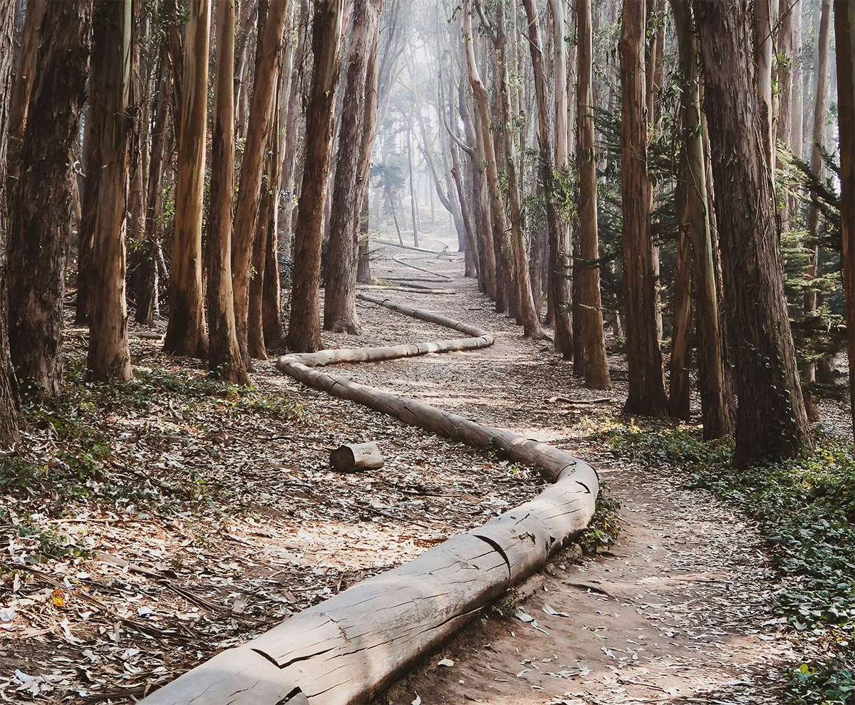 loše planiranje zaliha